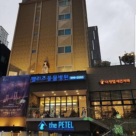 The Petel Premium Suite Busan Extérieur photo