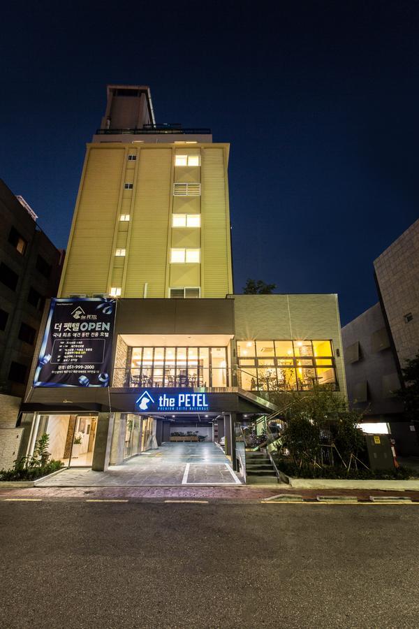 The Petel Premium Suite Busan Extérieur photo