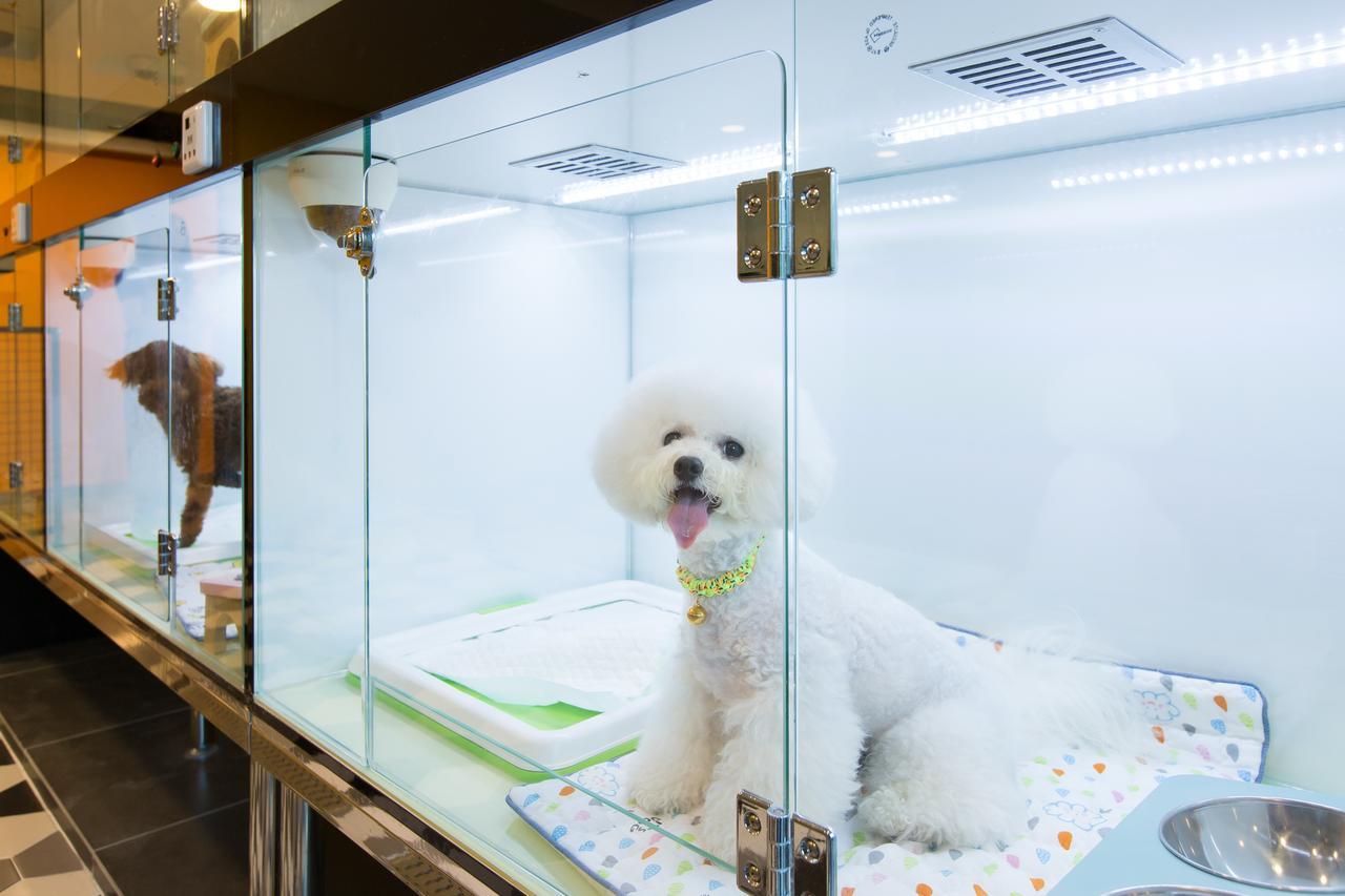 The Petel Premium Suite Busan Extérieur photo
