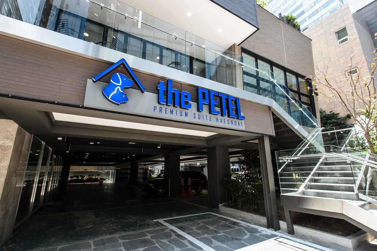 The Petel Premium Suite Busan Extérieur photo
