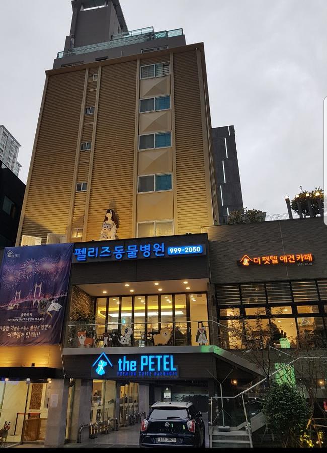 The Petel Premium Suite Busan Extérieur photo